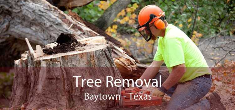 Tree Removal Baytown - Texas