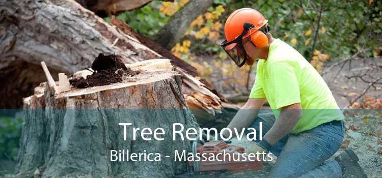 Tree Removal Billerica - Massachusetts