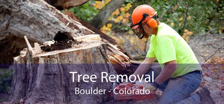 Tree Removal Boulder - Colorado