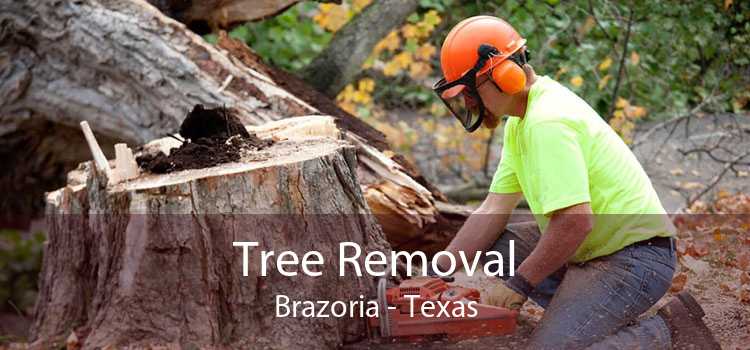 Tree Removal Brazoria - Texas
