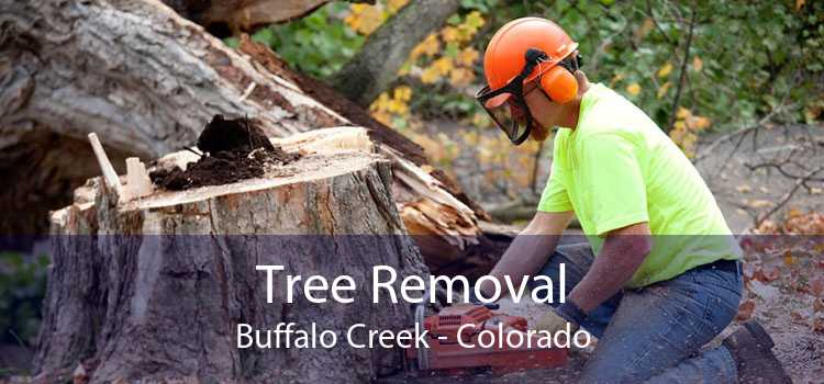 Tree Removal Buffalo Creek - Colorado