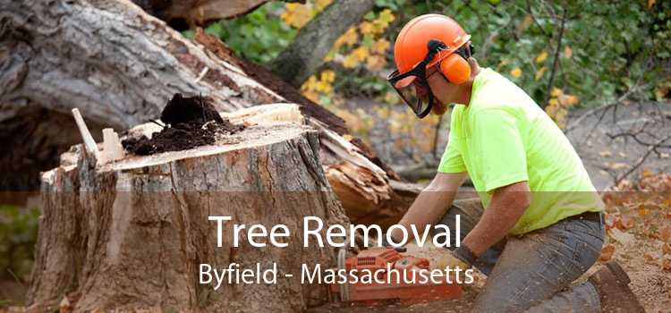 Tree Removal Byfield - Massachusetts