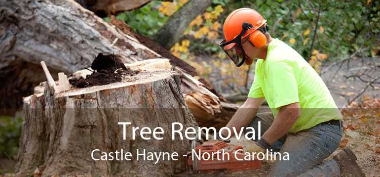 Tree Removal Castle Hayne - North Carolina
