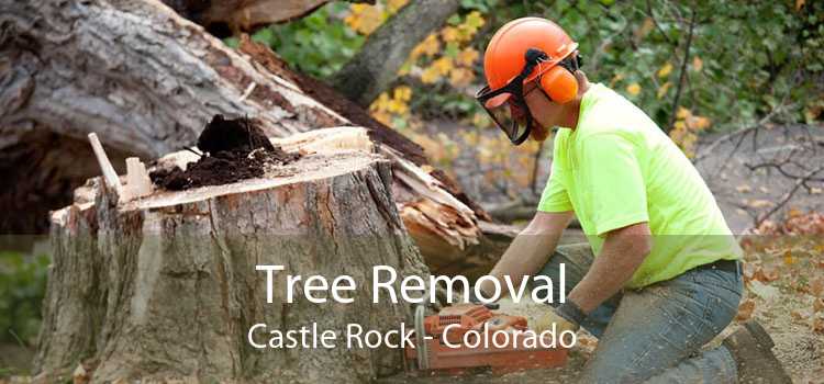 Tree Removal Castle Rock - Colorado