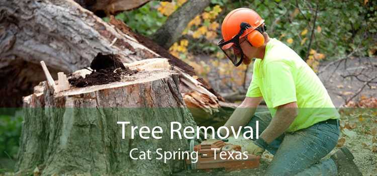 Tree Removal Cat Spring - Texas