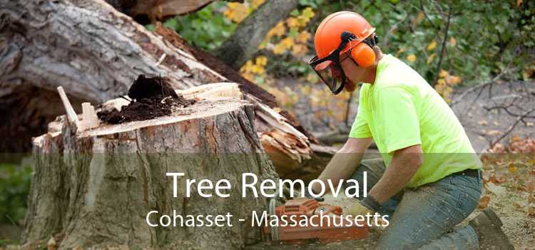 Tree Removal Cohasset - Massachusetts
