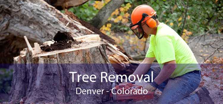 Tree Removal Denver - Colorado