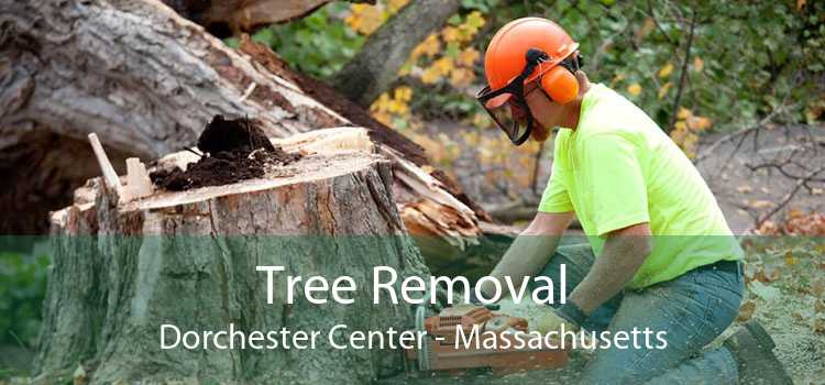 Tree Removal Dorchester Center - Massachusetts