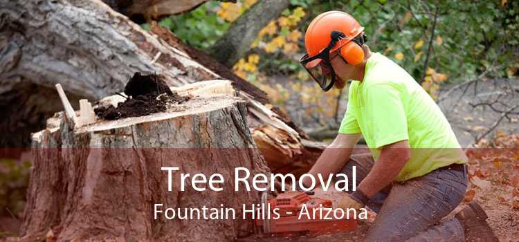 Tree Removal Fountain Hills - Arizona