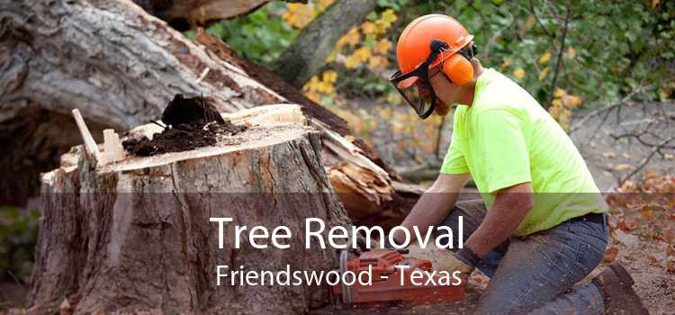 Tree Removal Friendswood - Texas