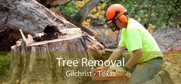 Tree Removal Gilchrist - Texas