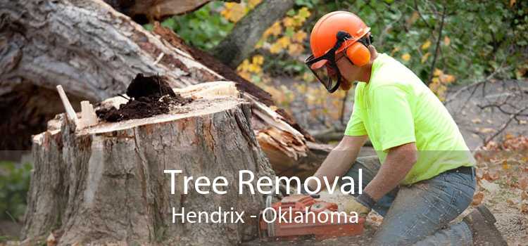 Tree Removal Hendrix - Oklahoma