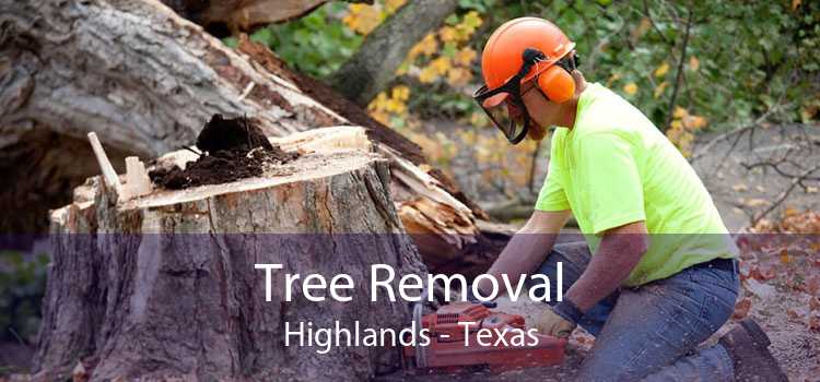 Tree Removal Highlands - Texas
