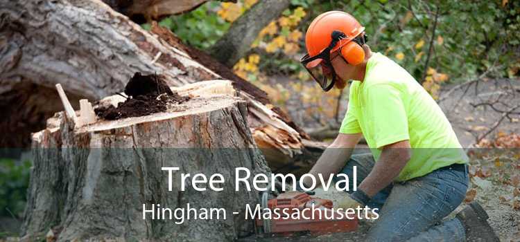 Tree Removal Hingham - Massachusetts