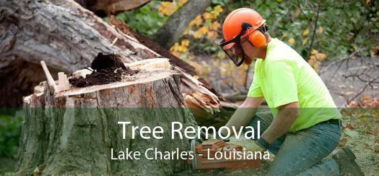 Tree Removal Lake Charles - Louisiana