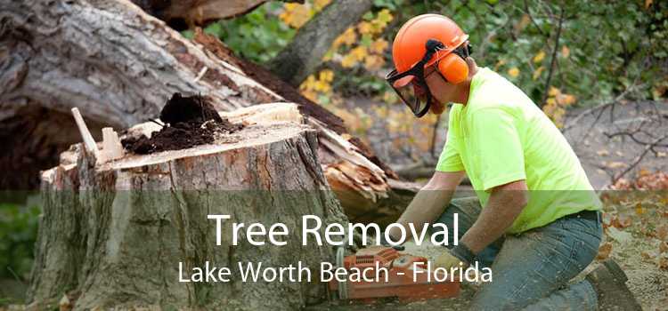 Tree Removal Lake Worth Beach - Florida