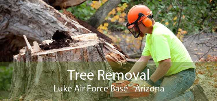 Tree Removal Luke Air Force Base - Arizona