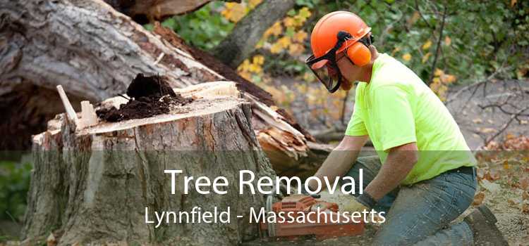 Tree Removal Lynnfield - Massachusetts