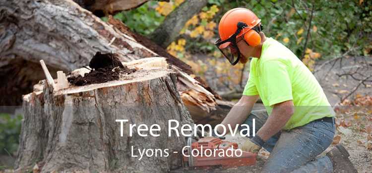 Tree Removal Lyons - Colorado