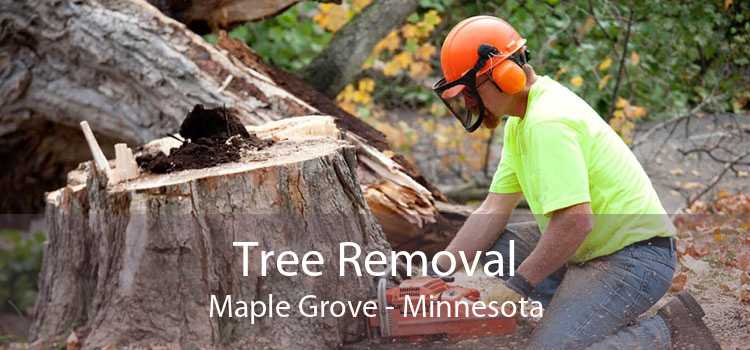 Tree Removal Maple Grove - Minnesota