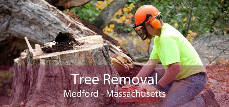 Tree Removal Medford - Massachusetts