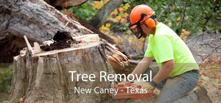 Tree Removal New Caney - Texas