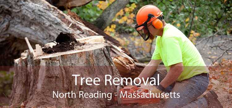 Tree Removal North Reading - Massachusetts