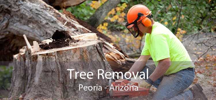 Tree Removal Peoria - Arizona