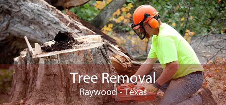 Tree Removal Raywood - Texas