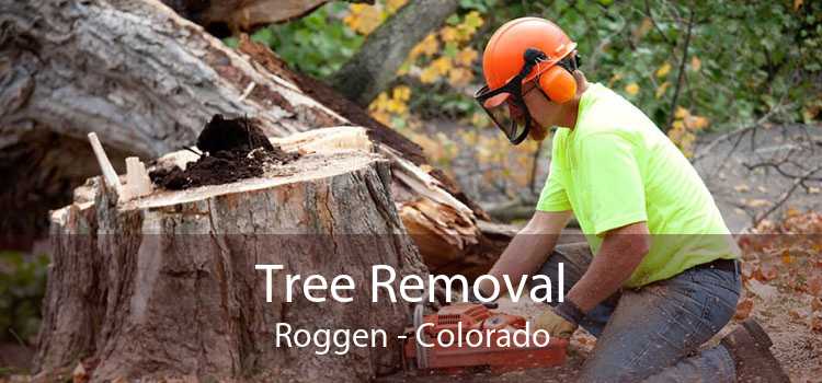 Tree Removal Roggen - Colorado