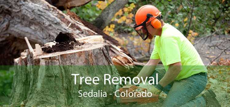 Tree Removal Sedalia - Colorado