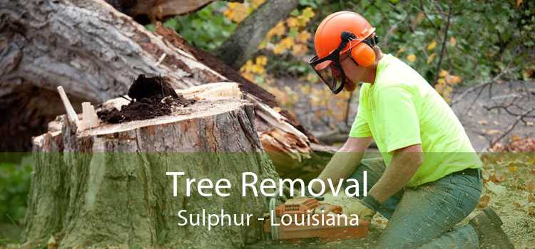 Tree Removal Sulphur - Louisiana