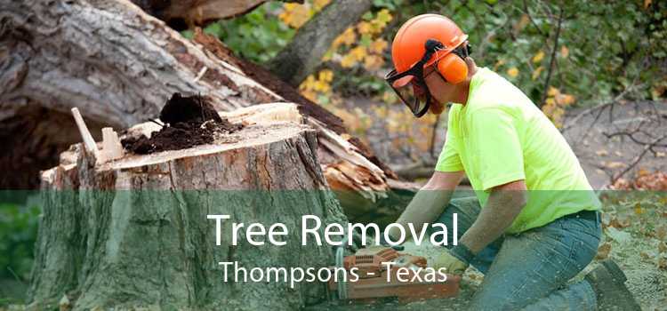 Tree Removal Thompsons - Texas