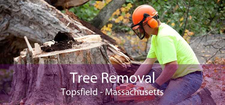 Tree Removal Topsfield - Massachusetts