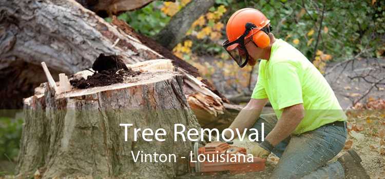 Tree Removal Vinton - Louisiana