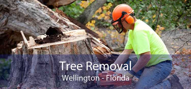 Tree Removal Wellington - Florida
