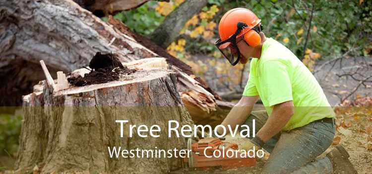 Tree Removal Westminster - Colorado