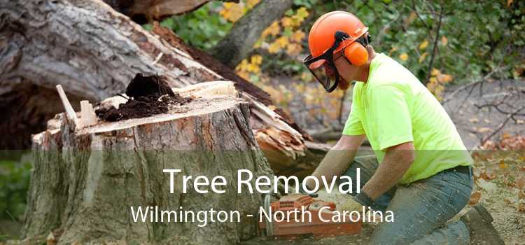 Tree Removal Wilmington - North Carolina