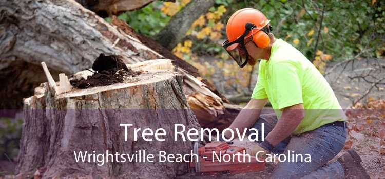 Tree Removal Wrightsville Beach - North Carolina