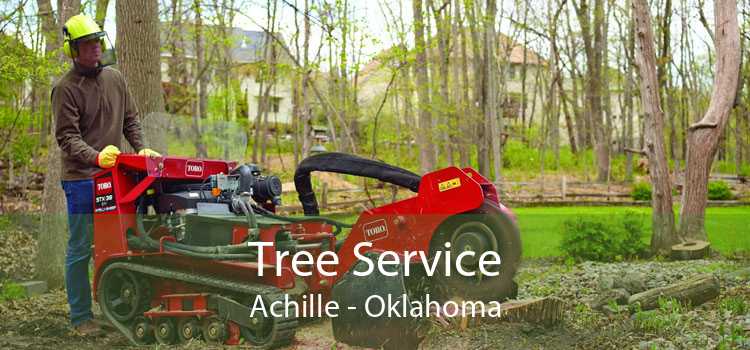 Tree Service Achille - Oklahoma