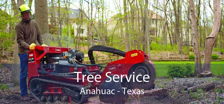 Tree Service Anahuac - Texas
