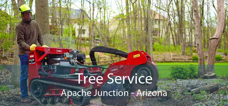 Tree Service Apache Junction - Arizona