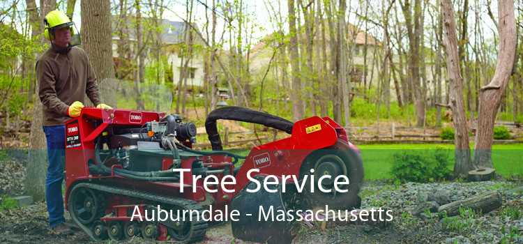 Tree Service Auburndale - Massachusetts