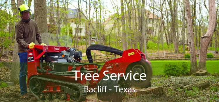 Tree Service Bacliff - Texas