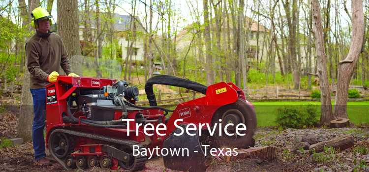 Tree Service Baytown - Texas