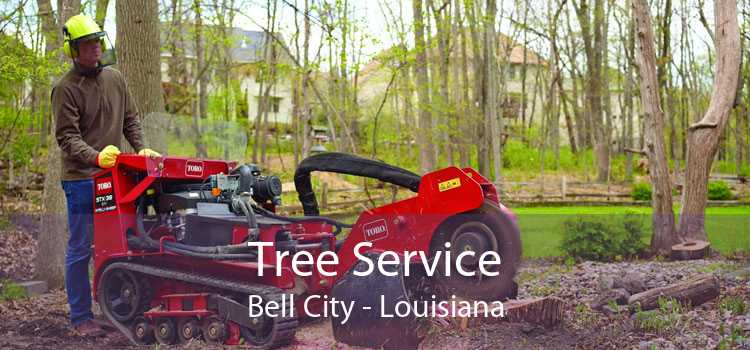 Tree Service Bell City - Louisiana