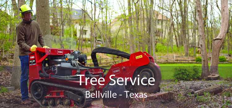 Tree Service Bellville - Texas
