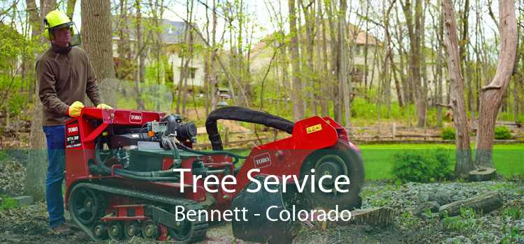 Tree Service Bennett - Colorado