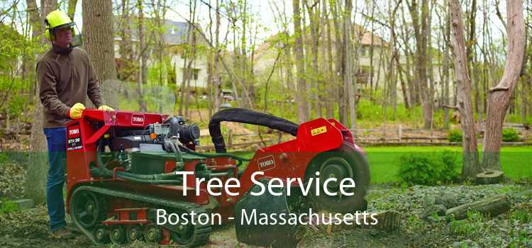 Tree Service Boston - Massachusetts