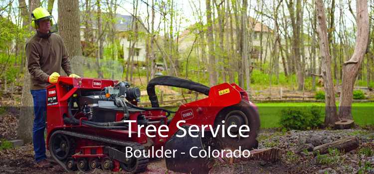 Tree Service Boulder - Colorado
